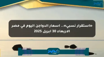 «استقرار نسبي».. أسعار الدواجن اليوم في مصر الأربعاء 30 أبريل 2025